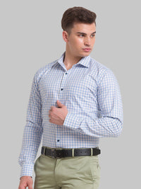 Park Avenue Men Checked Formal Slim Fit Cotton Shirt