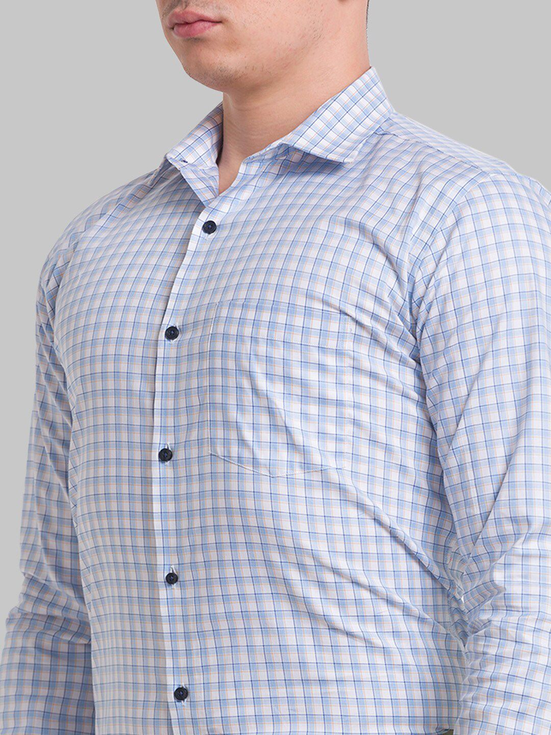 Park Avenue Men Checked Formal Slim Fit Cotton Shirt