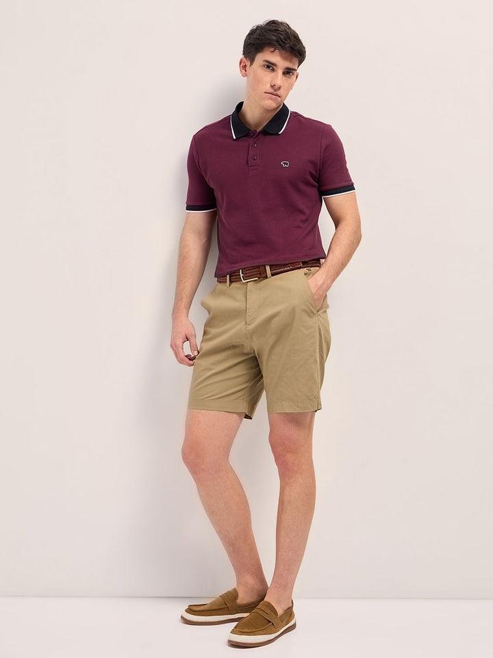 THE BEAR HOUSE Men Solid Polo Collar Cotton T-shirt