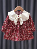 YK Girls Printed Puff Sleeves Cotton A-Line Dress
