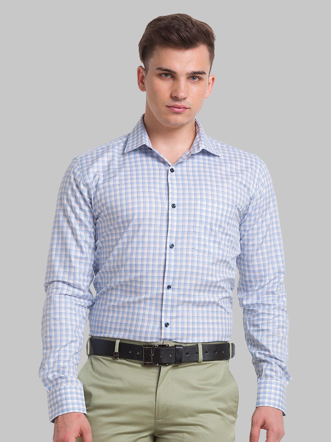 Park Avenue Men Checked Formal Slim Fit Cotton Shirt