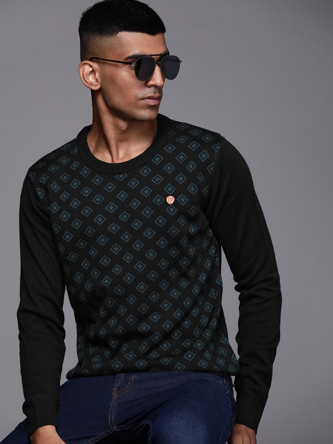 Raymond Men Self Design Pullover