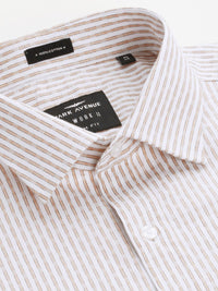 Park Avenue Men Slim Fit Vertical Stripes Opaque Pure Cotton Formal Shirt