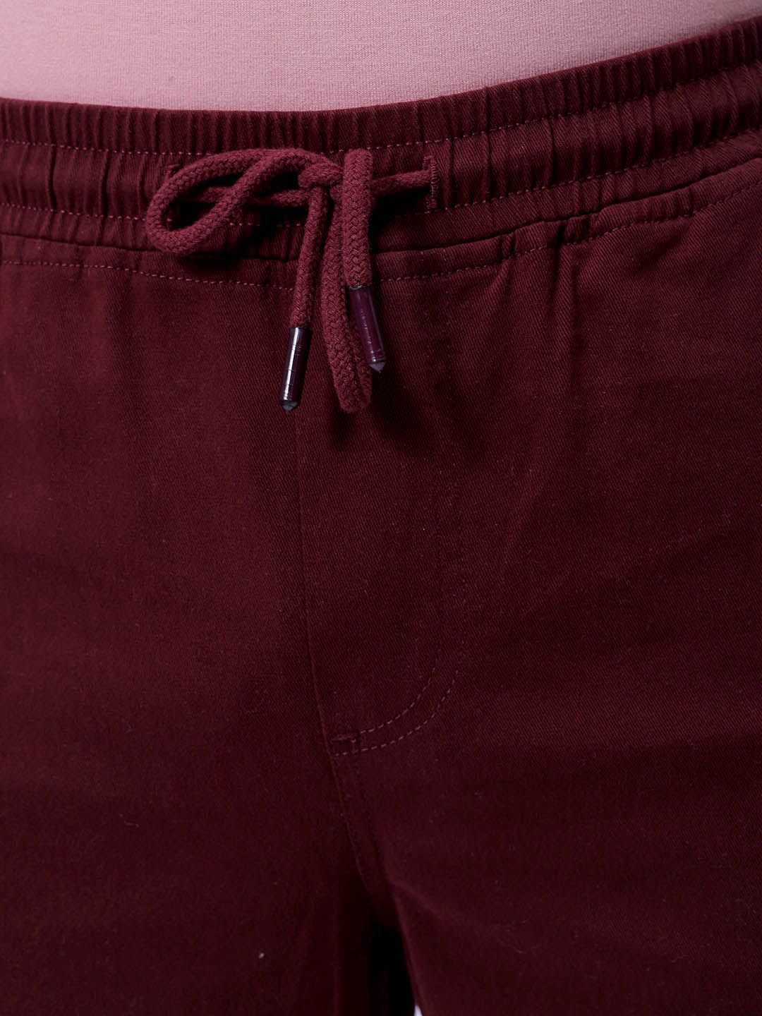 The Indian Garage Co Men Cargos Trousers