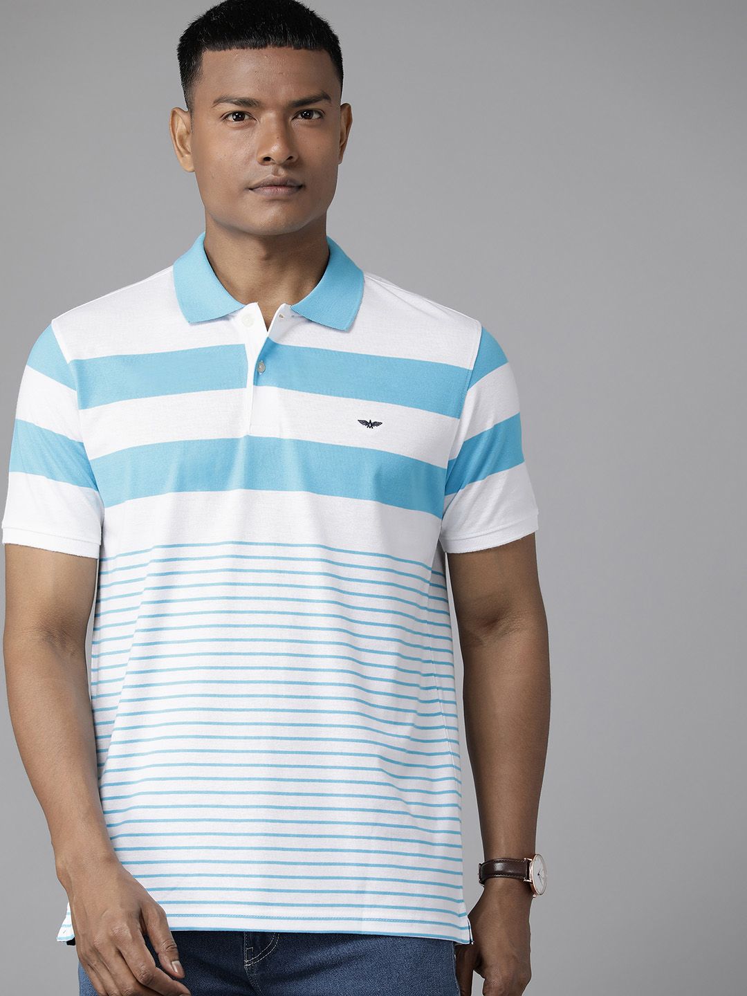 Park Avenue Men Striped Polo Collar Slim Fit T-shirt