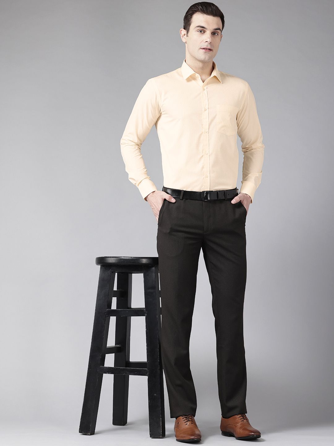 Park Avenue Slim Fit Micro Checks Formal Shirt