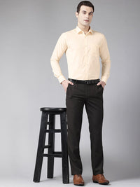 Park Avenue Slim Fit Micro Checks Formal Shirt