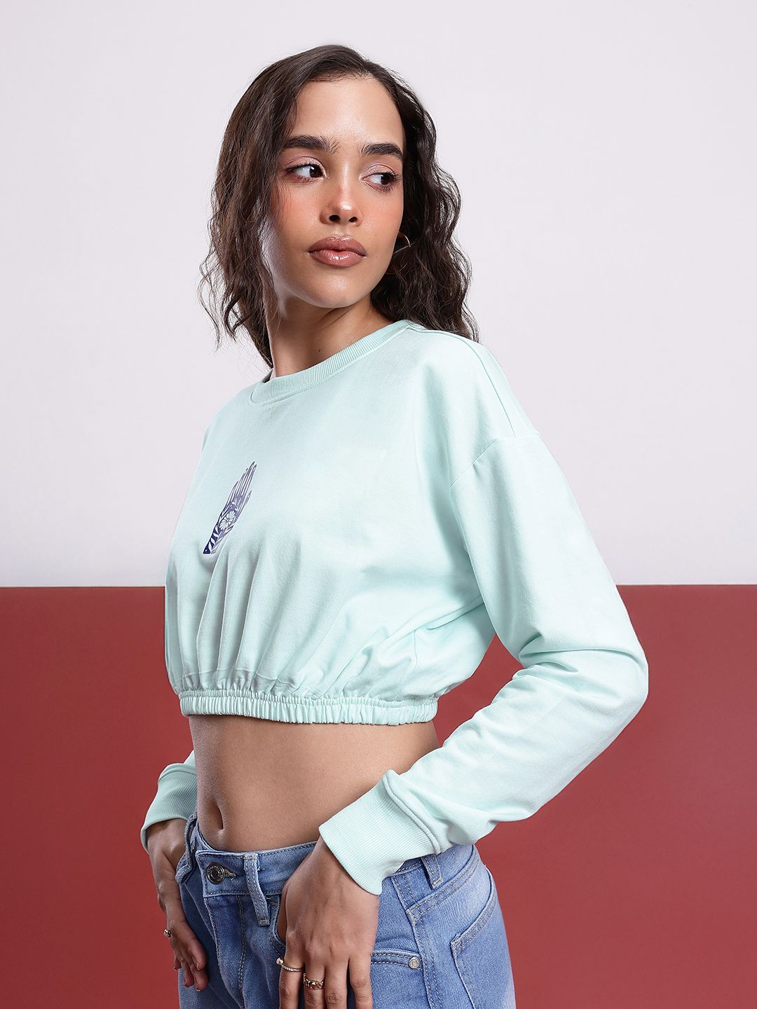 DressBerry Printed Cropped Sweatshirt