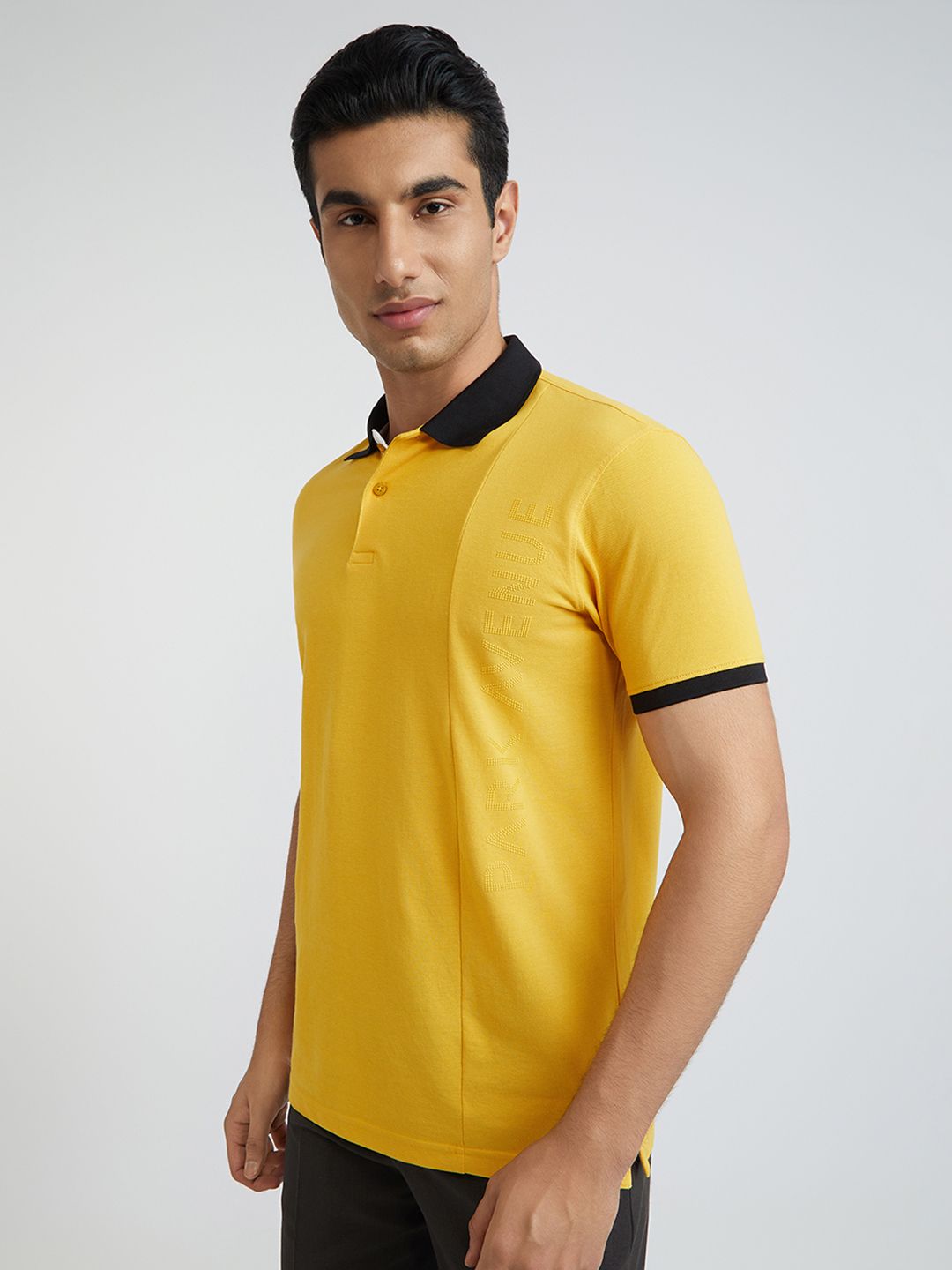 Park Avenue Polo Collar Slim Fit T-shirt
