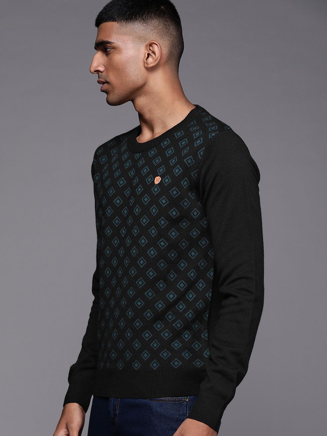 Raymond Men Self Design Pullover