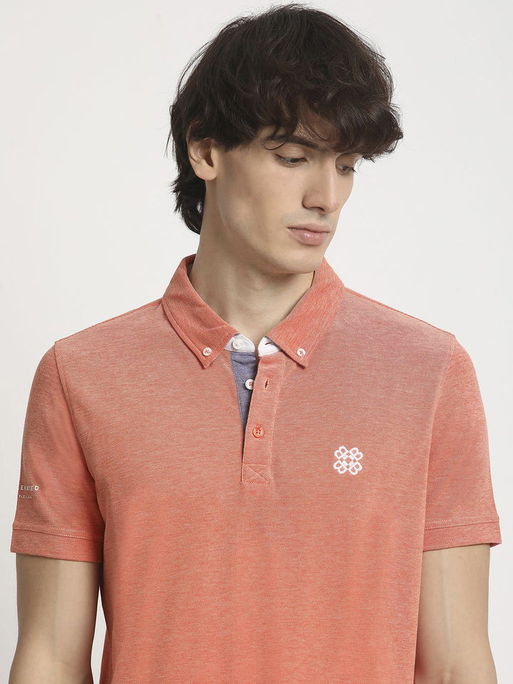 The Bear House Men Solid Polo Collar Regular Fit Tshirt
