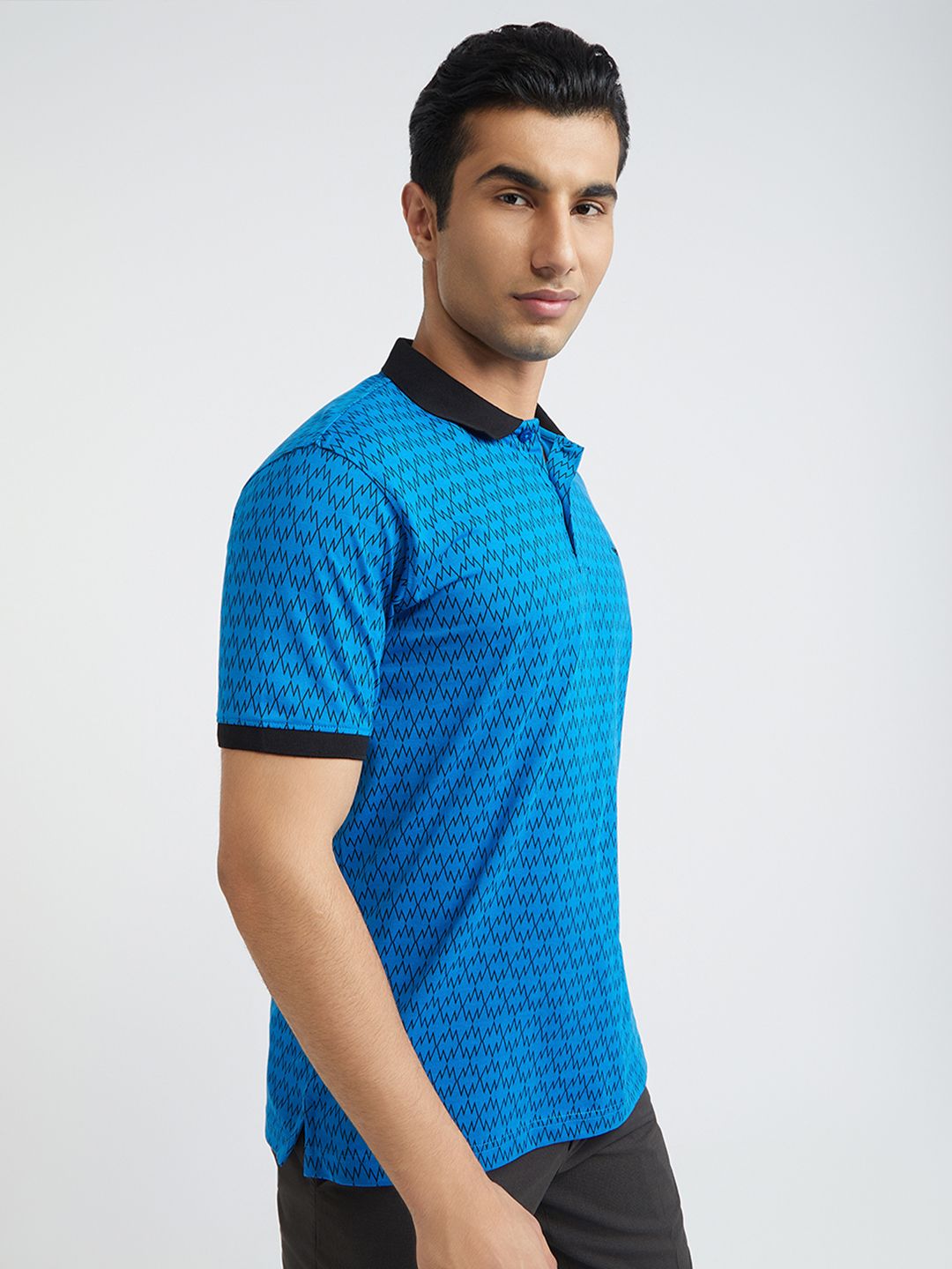 Park Avenue Printed Polo Collar Slim Fit T-shirt