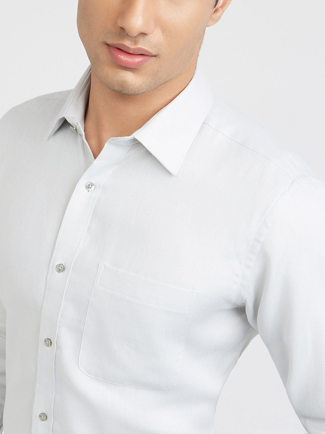 Raymond Pure Cotton Slim Fit Opaque Formal Shirt
