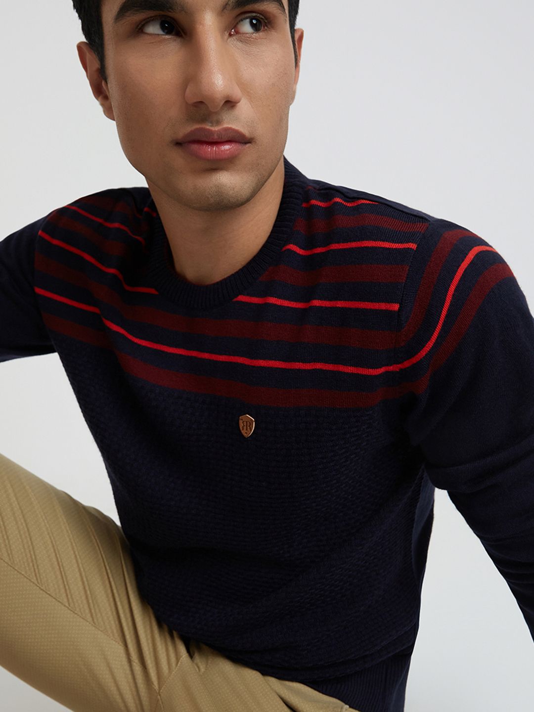 Raymond Men Navy Blue Pullover
