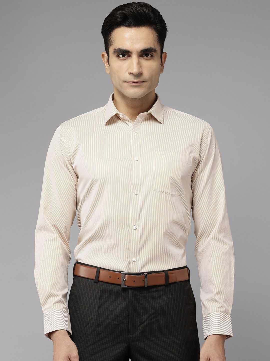 Park Avenue Slim Fit Pinstriped Formal Shirt