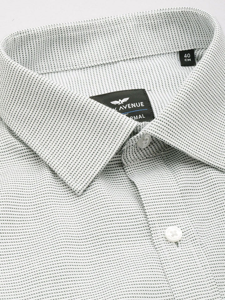 Park Avenue Slim Fit Self Design Textured Opaque Formal Shirt