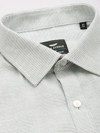 Park Avenue Slim Fit Self Design Textured Opaque Formal Shirt