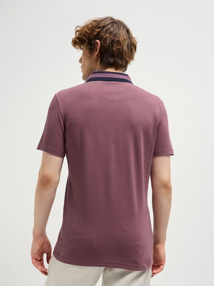 THE BEAR HOUSE Men Solid Polo Collar Pure Cotton T-shirt