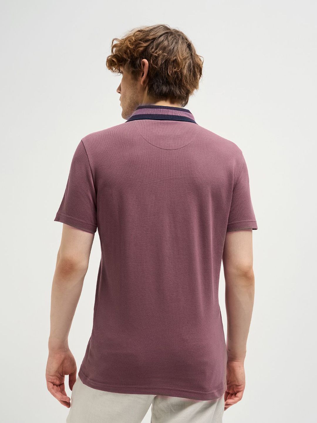 THE BEAR HOUSE Men Solid Polo Collar Pure Cotton T-shirt