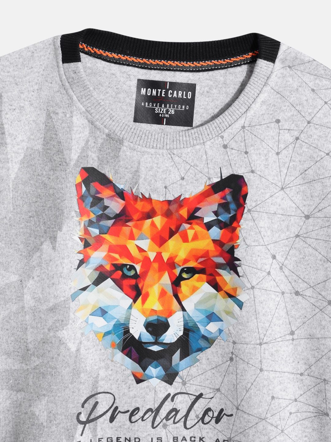 Monte Carlo Boys Graphic Printed Sweatshirt