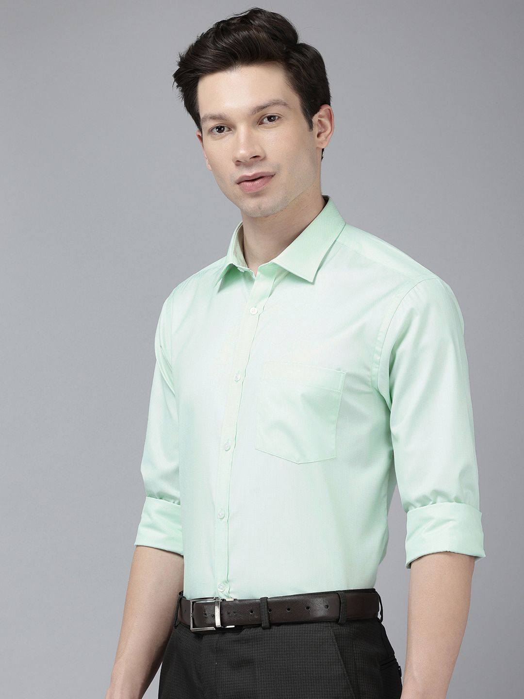 Park Avenue Slim Fit Opaque Formal Shirt