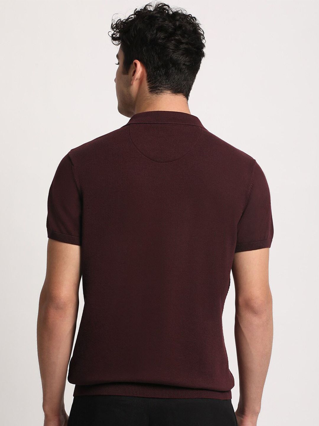 THE BEAR HOUSE Men Striped Regular Fit Pure Cotton Polo Collar T-Shirt