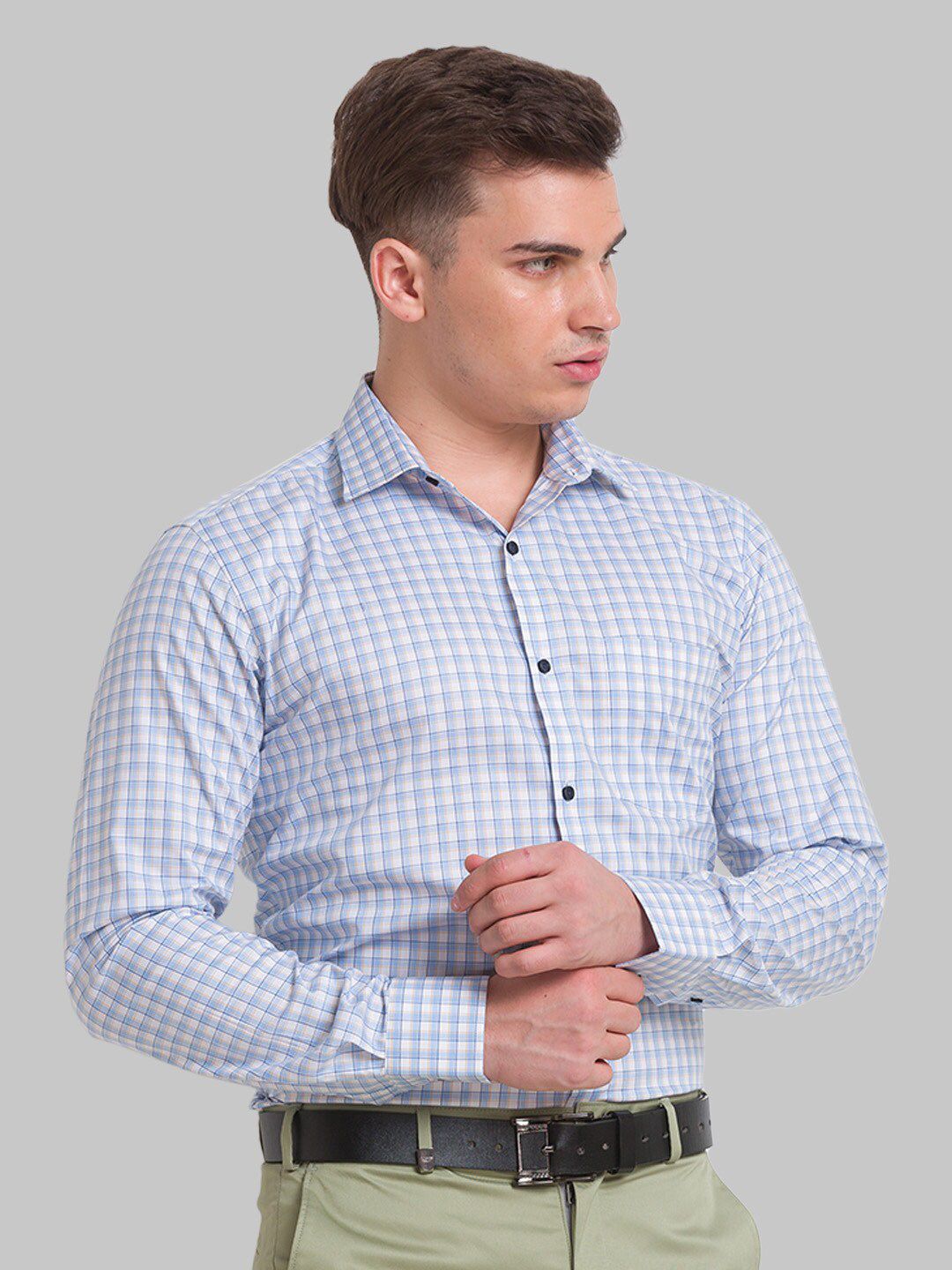 Park Avenue Men Checked Formal Slim Fit Cotton Shirt