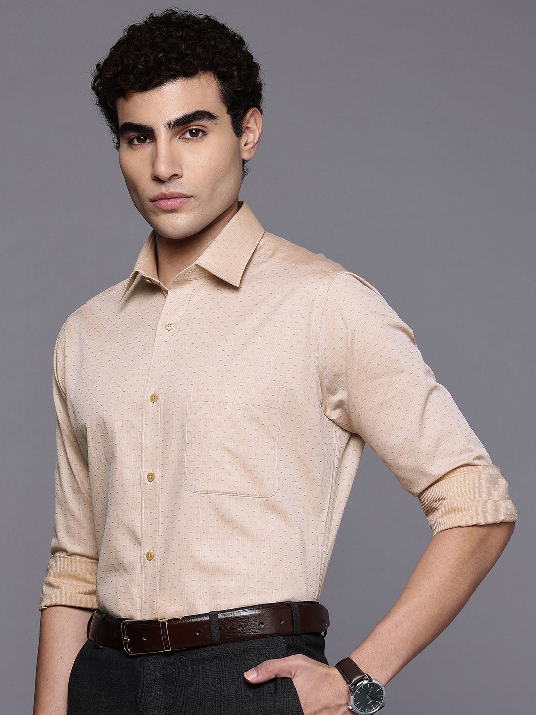 Raymond Slim Fit Textured Pure Cotton Formal Shirt