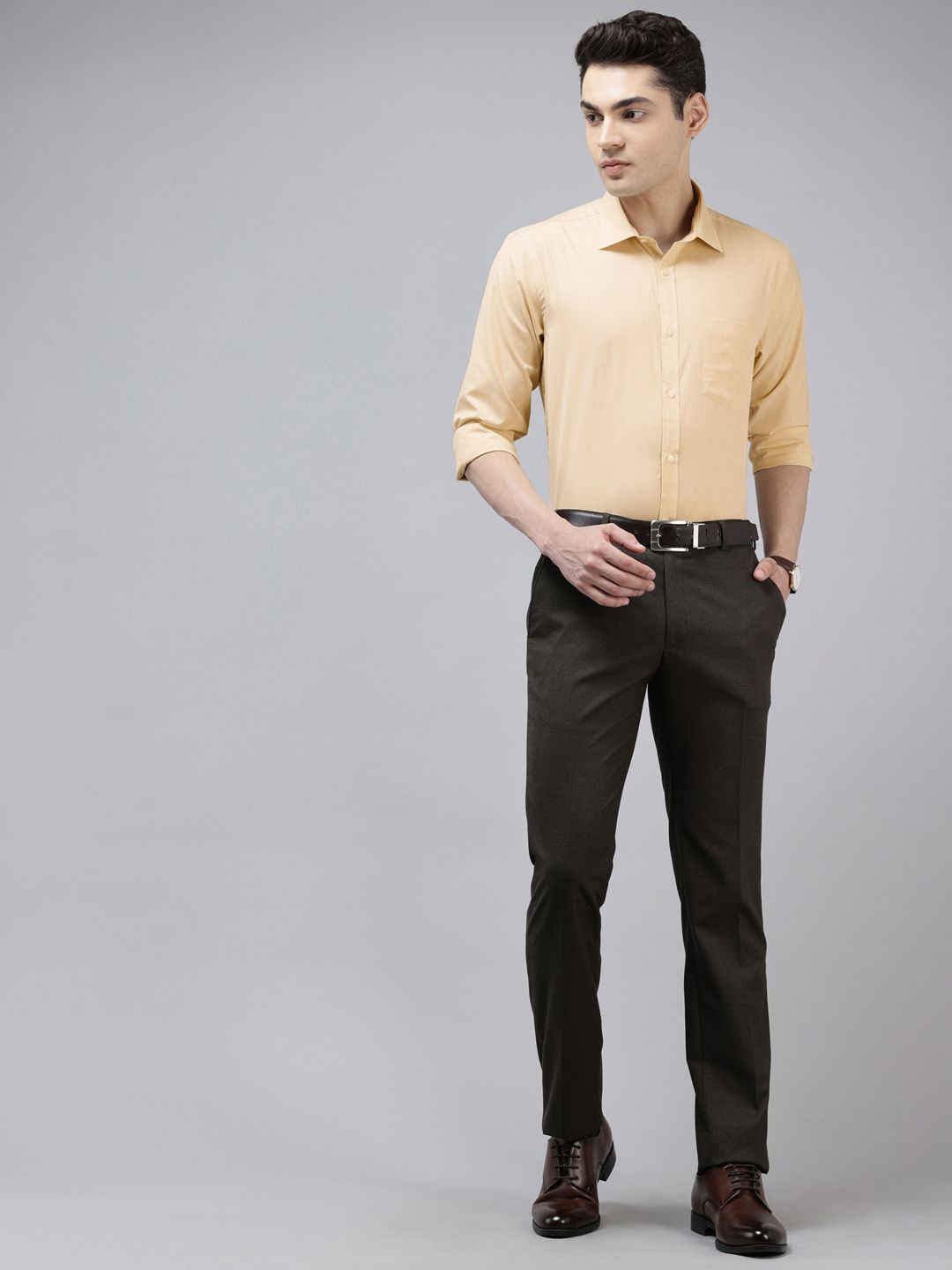 Park Avenue Micro Checked Formal Shirt