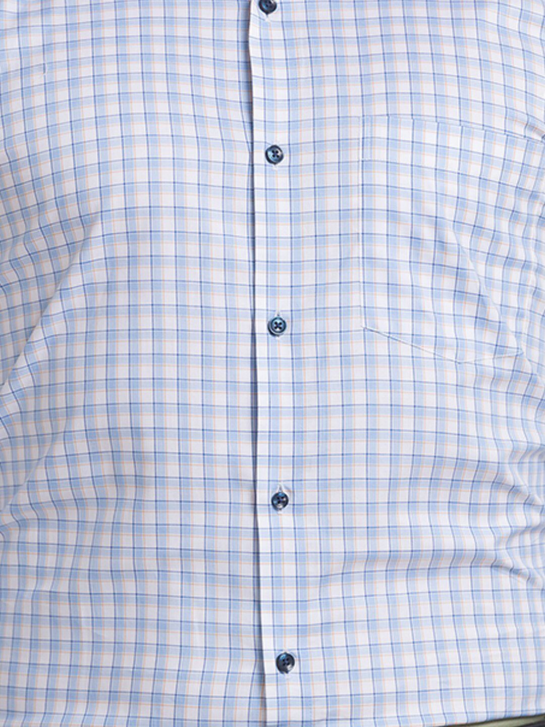 Park Avenue Men Checked Formal Slim Fit Cotton Shirt