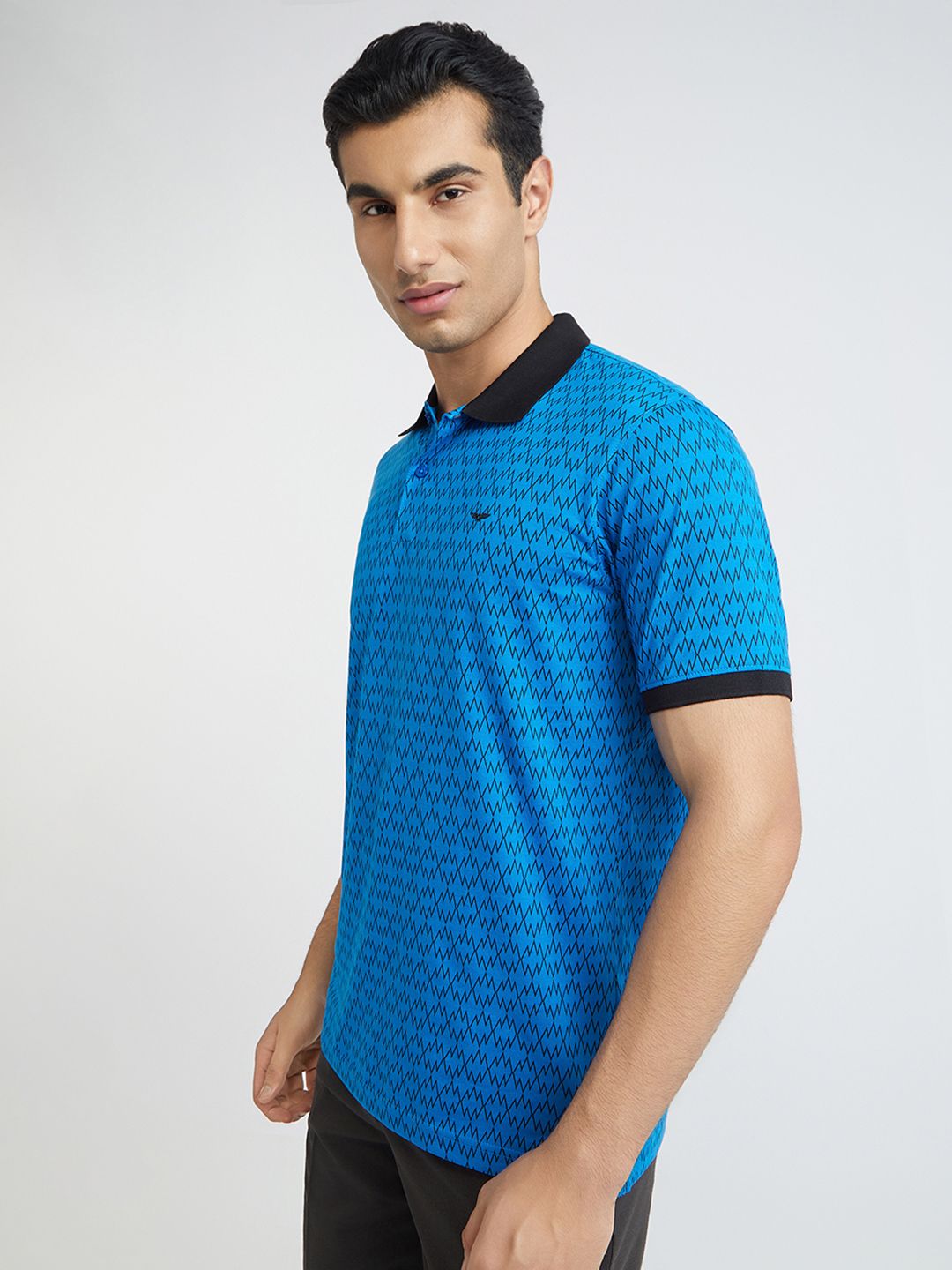 Park Avenue Printed Polo Collar Slim Fit T-shirt