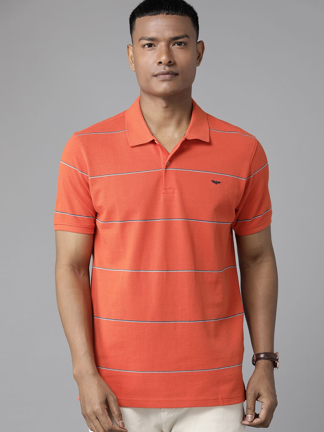 Park Avenue Men Striped Polo Collar Slim Fit T-shirt