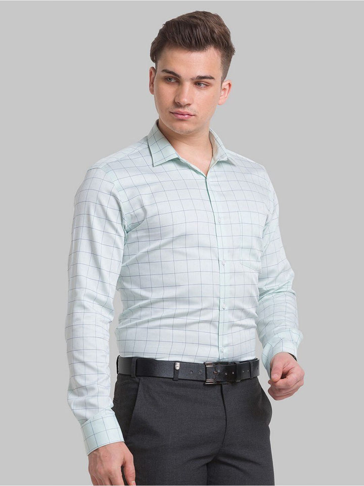 Park Avenue Men Green Windowpane Checks Checked Formal Shirt