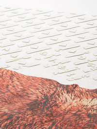 Monte Carlo Pure Cotton Printed Sweatshirt