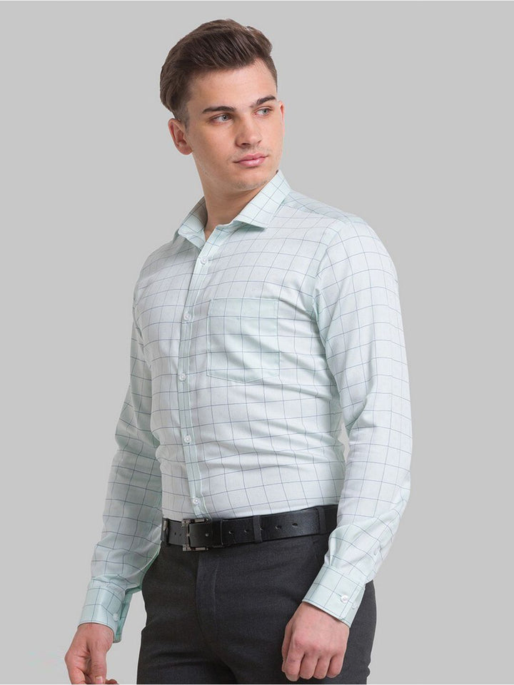 Park Avenue Men Green Windowpane Checks Checked Formal Shirt