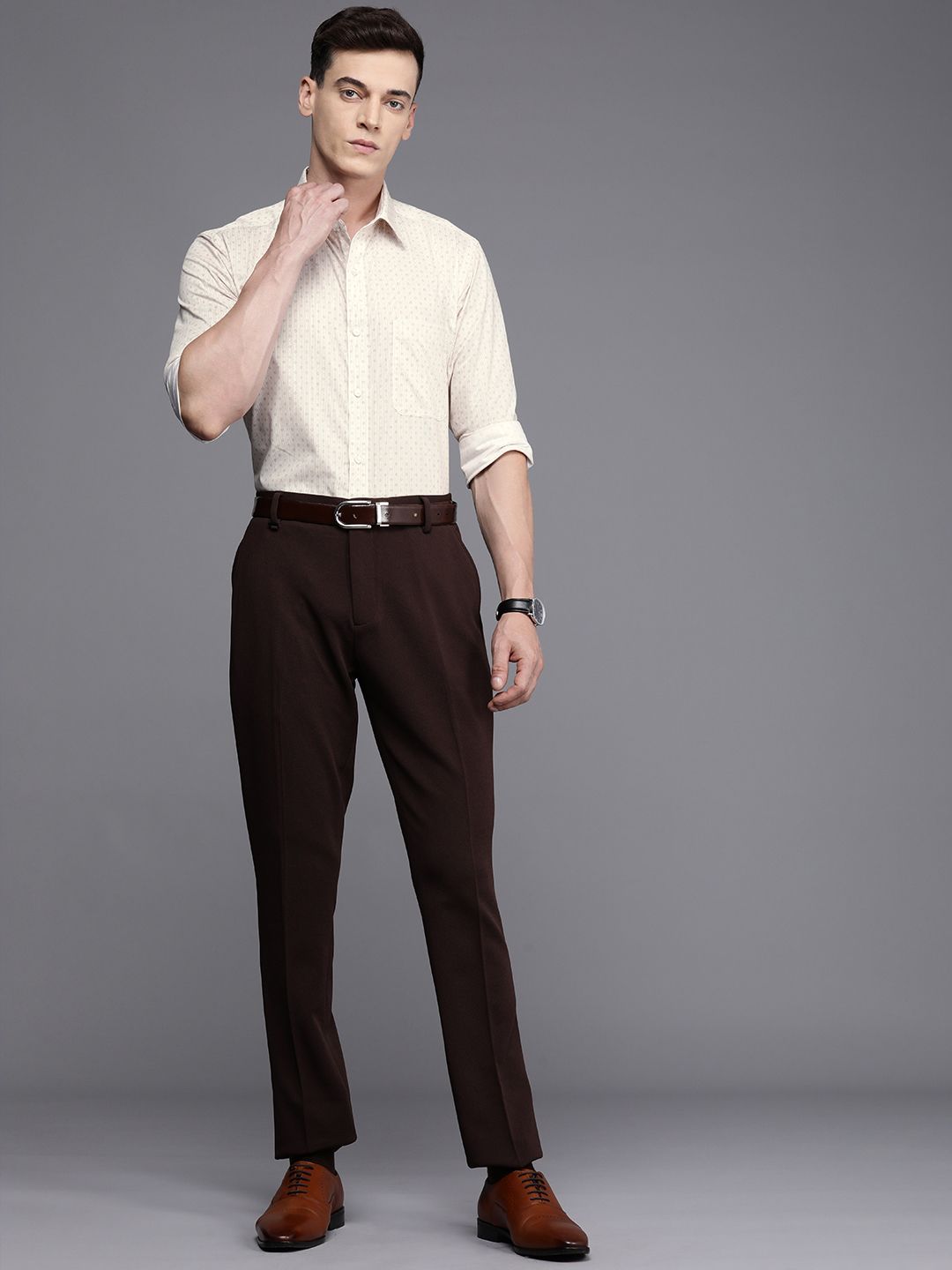 Raymond Slim Fit Striped Pure Cotton Formal Shirt