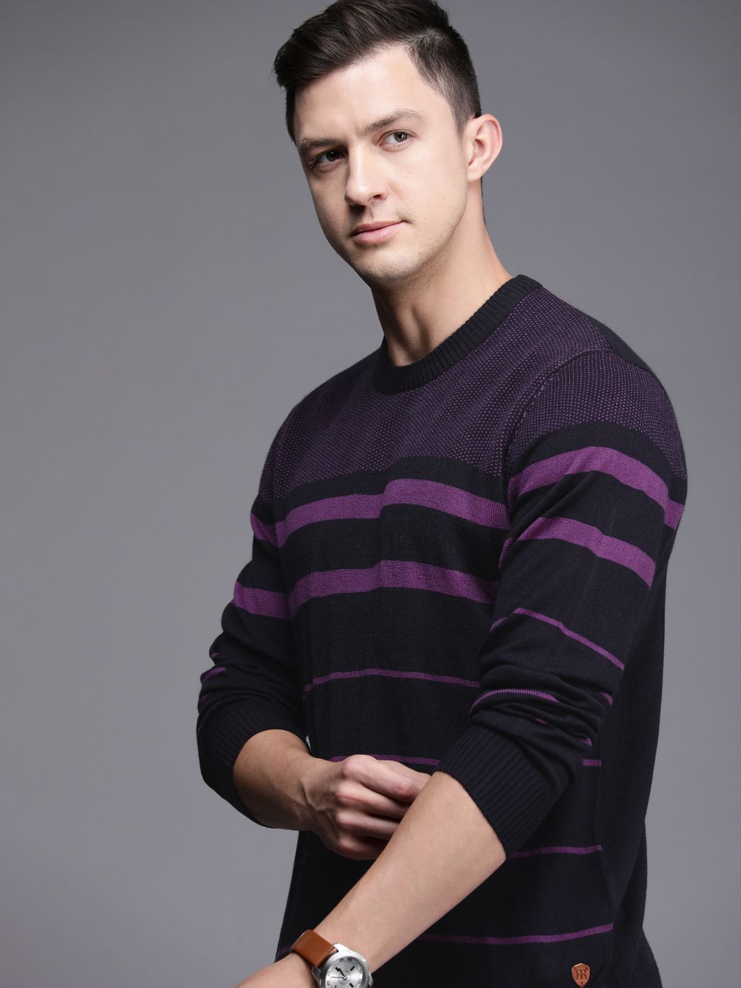 Raymond Men Violet Striped Pullover
