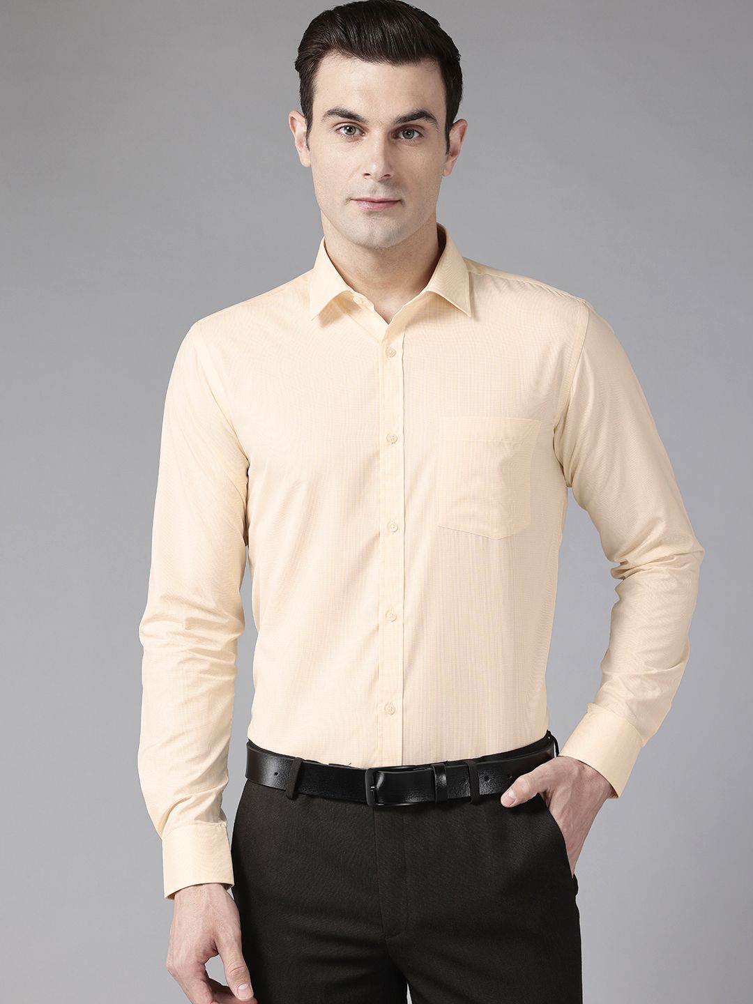 Park Avenue Slim Fit Micro Checks Formal Shirt
