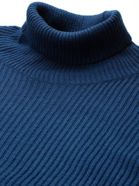 DressBerry Acrylic Ribbed High Neck Pullover