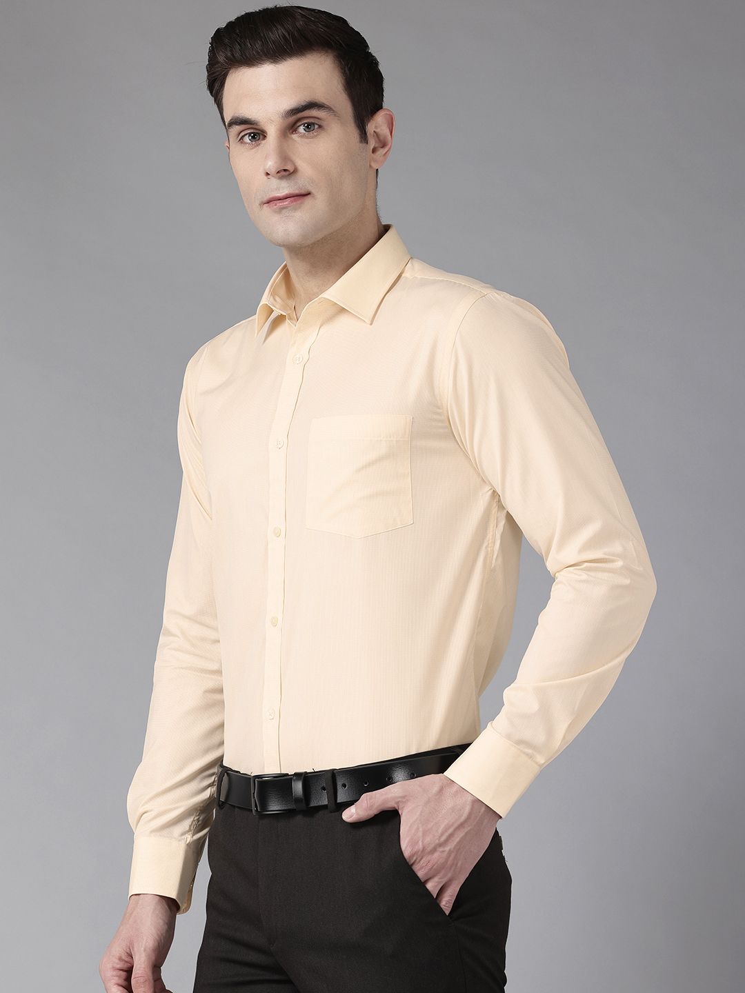 Park Avenue Slim Fit Micro Checks Formal Shirt