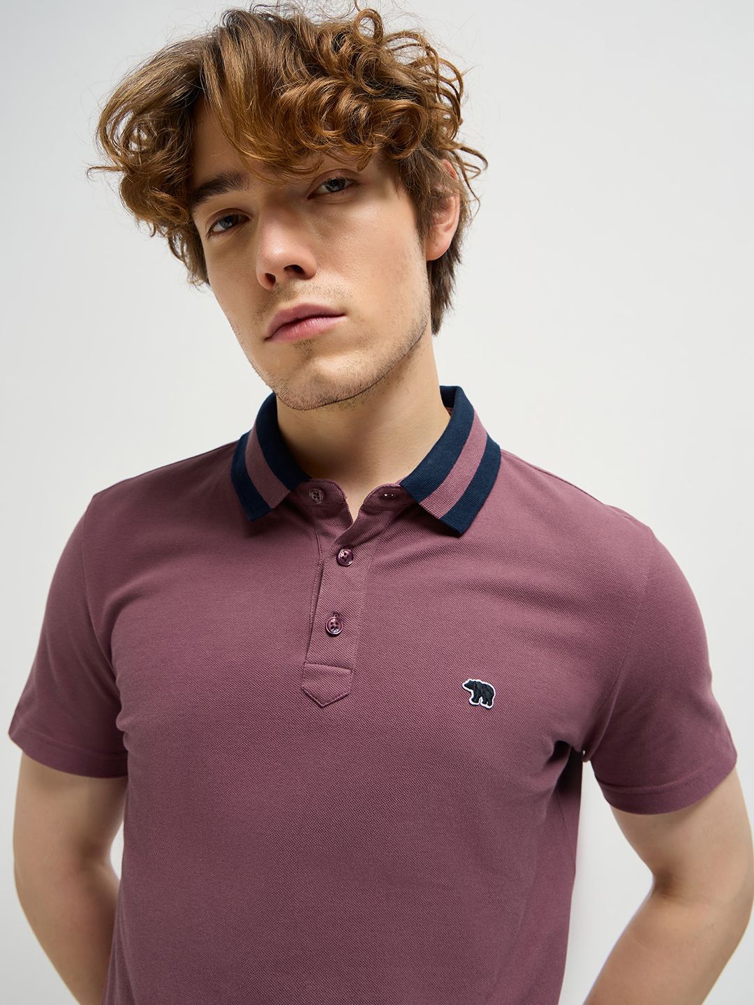 THE BEAR HOUSE Men Solid Polo Collar Pure Cotton T-shirt