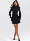 DressBerry Women High Neck Bodycon Mini Dress