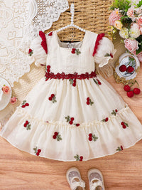 YK Girls Floral Embroidered Dress