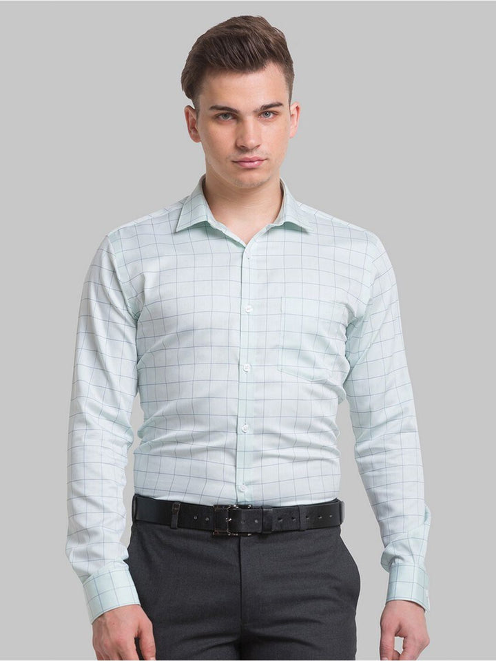 Park Avenue Men Green Windowpane Checks Checked Formal Shirt