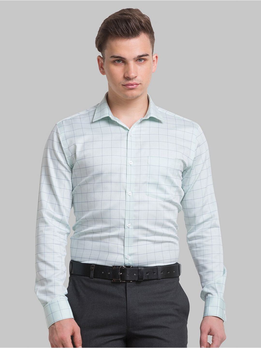 Park Avenue Men Green Windowpane Checks Checked Formal Shirt