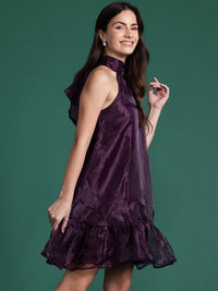 DressBerry Ruffled Net Drop-Waist Dress