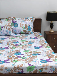 BOMBAY DYEING Ivyrose White & Blue Floral Pure Cotton 110 TC Queen Bedsheet & 2 Pillow Covers