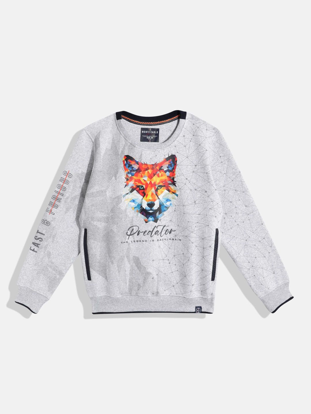 Monte Carlo Boys Graphic Printed Sweatshirt