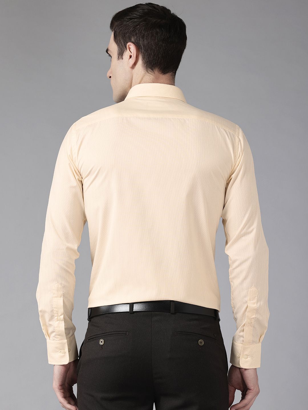 Park Avenue Slim Fit Micro Checks Formal Shirt