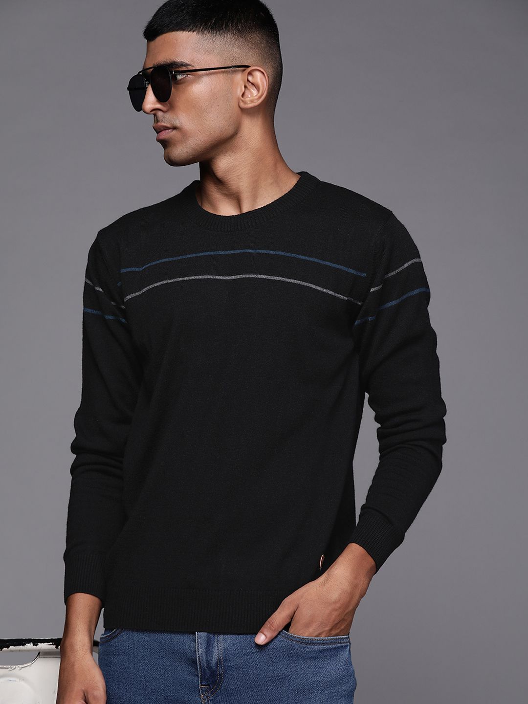 Raymond Men Solid Pullover